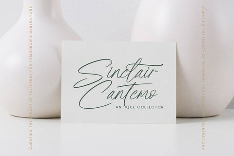 Feather Antique - Modern Script Font Font Letterena Studios 