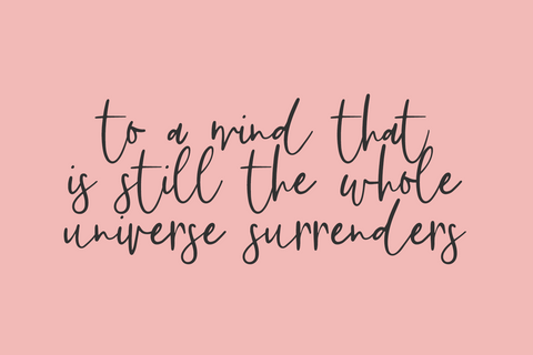Featherstitch Script Font Beck McCormick 