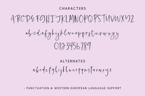 Featherstitch Script Font Beck McCormick 