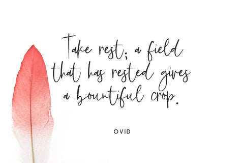 Featherstitch Script Font Beck McCormick 