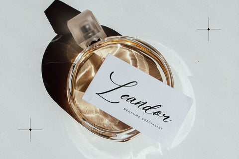 Fellyttsia - Beauty Script Font Font Letterena Studios 