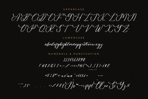 Fellyttsia - Beauty Script Font Font Letterena Studios 