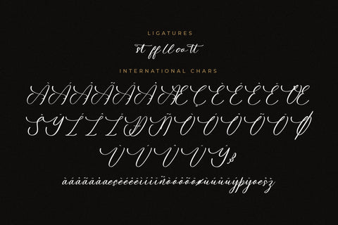 Fellyttsia - Beauty Script Font Font Letterena Studios 