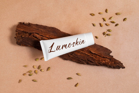 Feori Luna - Modern Script Font Font Letterena Studios 