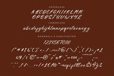 Feori Luna - Modern Script Font Font Letterena Studios 