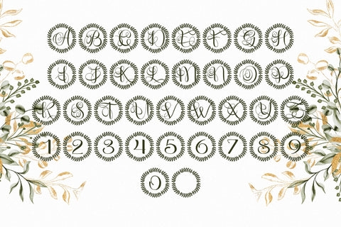 Fernessa Monogram Font Dm Letter Studio 