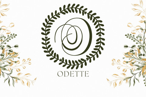 Fernessa Monogram Font Dm Letter Studio 