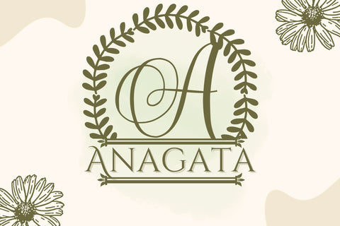 Fernessa Split Monogram Font Dm Letter Studio 