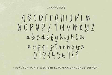 Fernwild Script Font Beck McCormick 