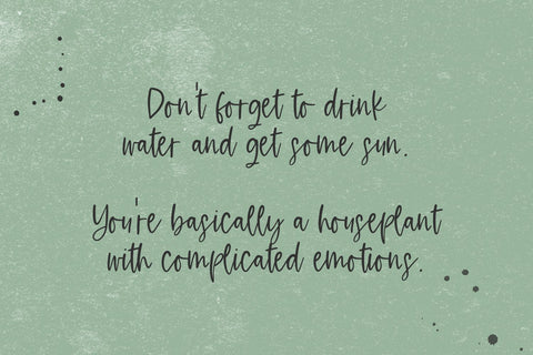 Fernwild Script Font Beck McCormick 