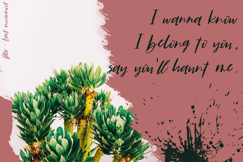 Fête Casual Script Font Font Beck McCormick 