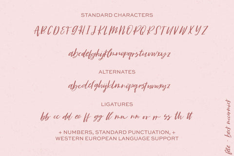Fête Casual Script Font Font Beck McCormick 