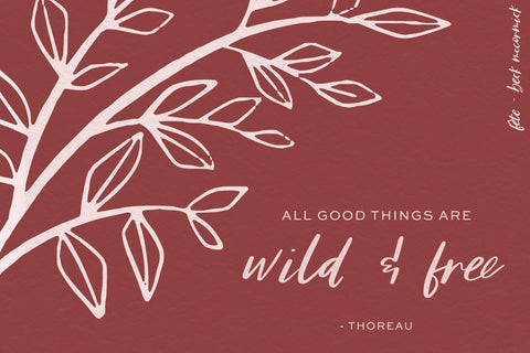 Fête Casual Script Font Font Beck McCormick 