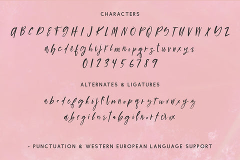 Figmented Script Font Beck McCormick 