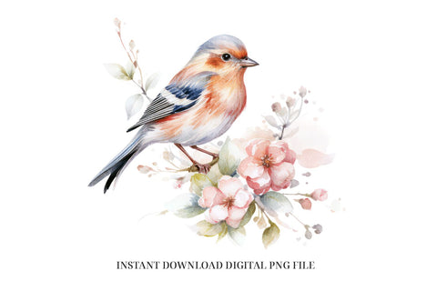 Finch Clipart PNG - Watercolor Bird Sublimation Design Sublimation BijouBay 