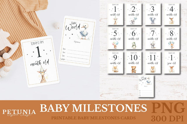 First Year Baby Milestone | Printable Baby Cards PNG Sublimation Petunia Digital Design 