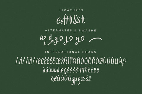 Fladive - Quirky Handwritten Font Font Letterena Studios 