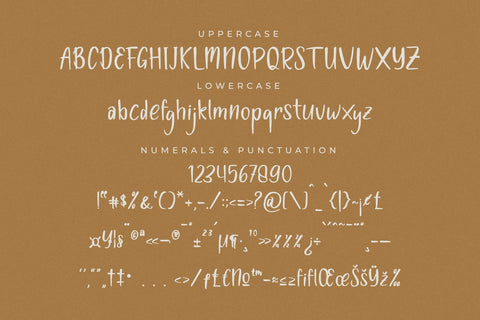 Fladive - Quirky Handwritten Font Font Letterena Studios 