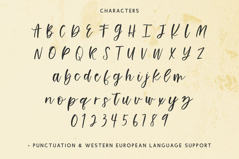 Flashing Script Font Beck McCormick 