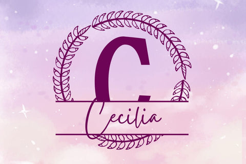 Fleurwyn Split Monogram Font Font Dm Letter Studio 