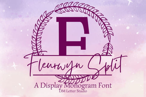Fleurwyn Split Monogram Font Font Dm Letter Studio 