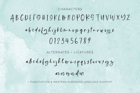Flirty Script Font Font Beck McCormick 