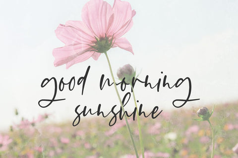 Flirty Script Font Font Beck McCormick 