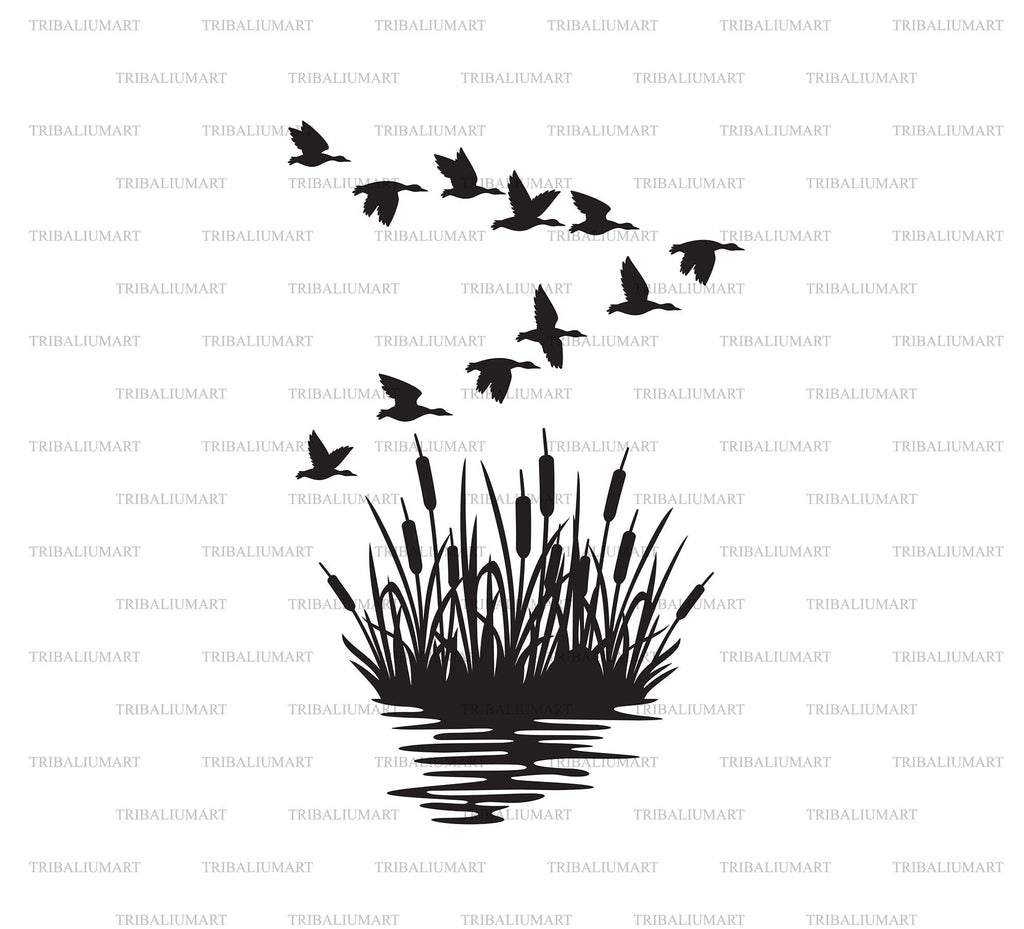 Flock of mallard ducks and reeds background silhouette (bulrush and ...