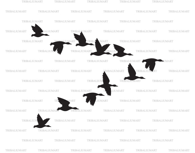 Flock of Mallard Ducks SVG TribaliumArtSF 
