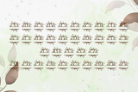 Flora Crest Split Monogram Font Dm Letter Studio 