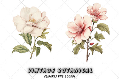 Floral Clipart - Botanical Clipart - botanical Illustration - Fine art - Summer Flowers - Spring Flowers - Poppy - Anthurium - Tulip Sublimation FloridPrintables 