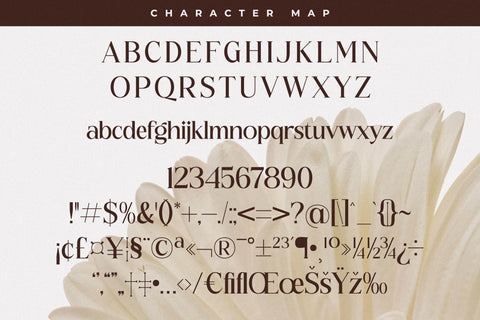 Floral Paradise Font Duo Font Storytype Studio 