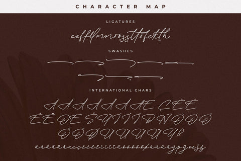 Floral Paradise Font Duo Font Storytype Studio 