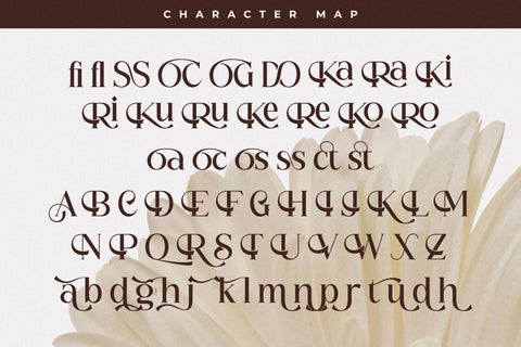 Floral Paradise Font Duo Font Storytype Studio 