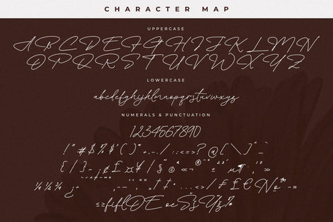 Floral Paradise Font Duo Font Storytype Studio 