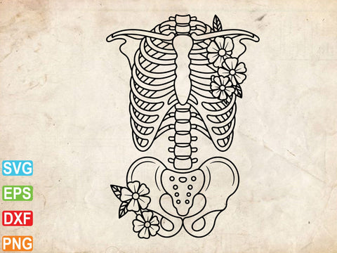 Floral Skeleton Anatomy SVG, Skeleton Svg SVG artprintfile 