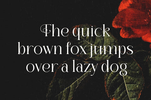 Florality - Modern Serif Font studioalmeera 