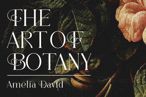 Florality - Modern Serif Font studioalmeera 