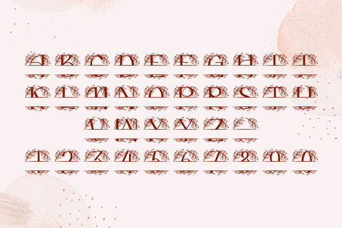 Floravine Split Monogram Font Dm Letter Studio 