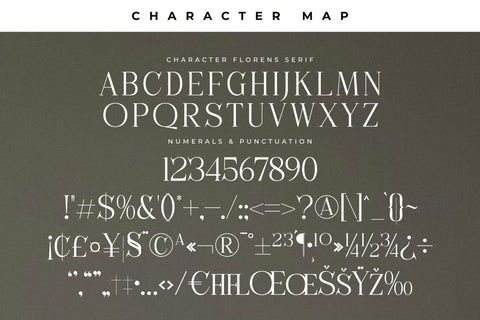 Florens Font Duo Font Storytype Studio 