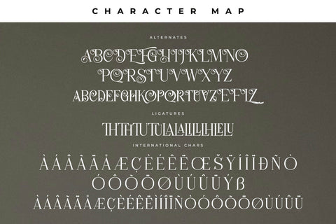 Florens Font Duo Font Storytype Studio 