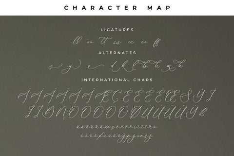 Florens Font Duo Font Storytype Studio 