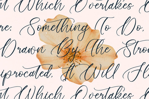 Floresta Castello - Beautiful Script Font Font Letterena Studios 