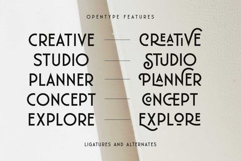 Florisha - Elegant Sans Font Arterfak Project 