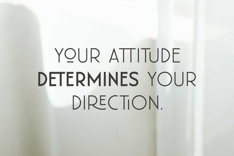 Florisha - Elegant Sans Font Arterfak Project 