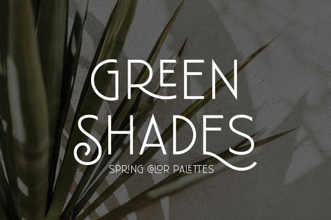 Florisha - Elegant Sans Font Arterfak Project 