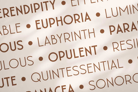 Florisha - Elegant Sans Font Arterfak Project 