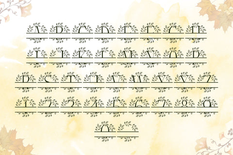 Florynthia Split Monogram Font Dm Letter Studio 