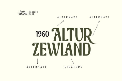 Floser Masqul - Serif Display Font Font twinletter 