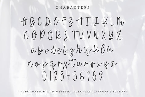 Flower Market Script Font Beck McCormick 